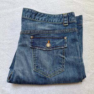 Banana Republic Bronson Premium Denim Boot Cut distressed jeans